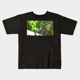 Black-capped Chickadee Staring Kids T-Shirt